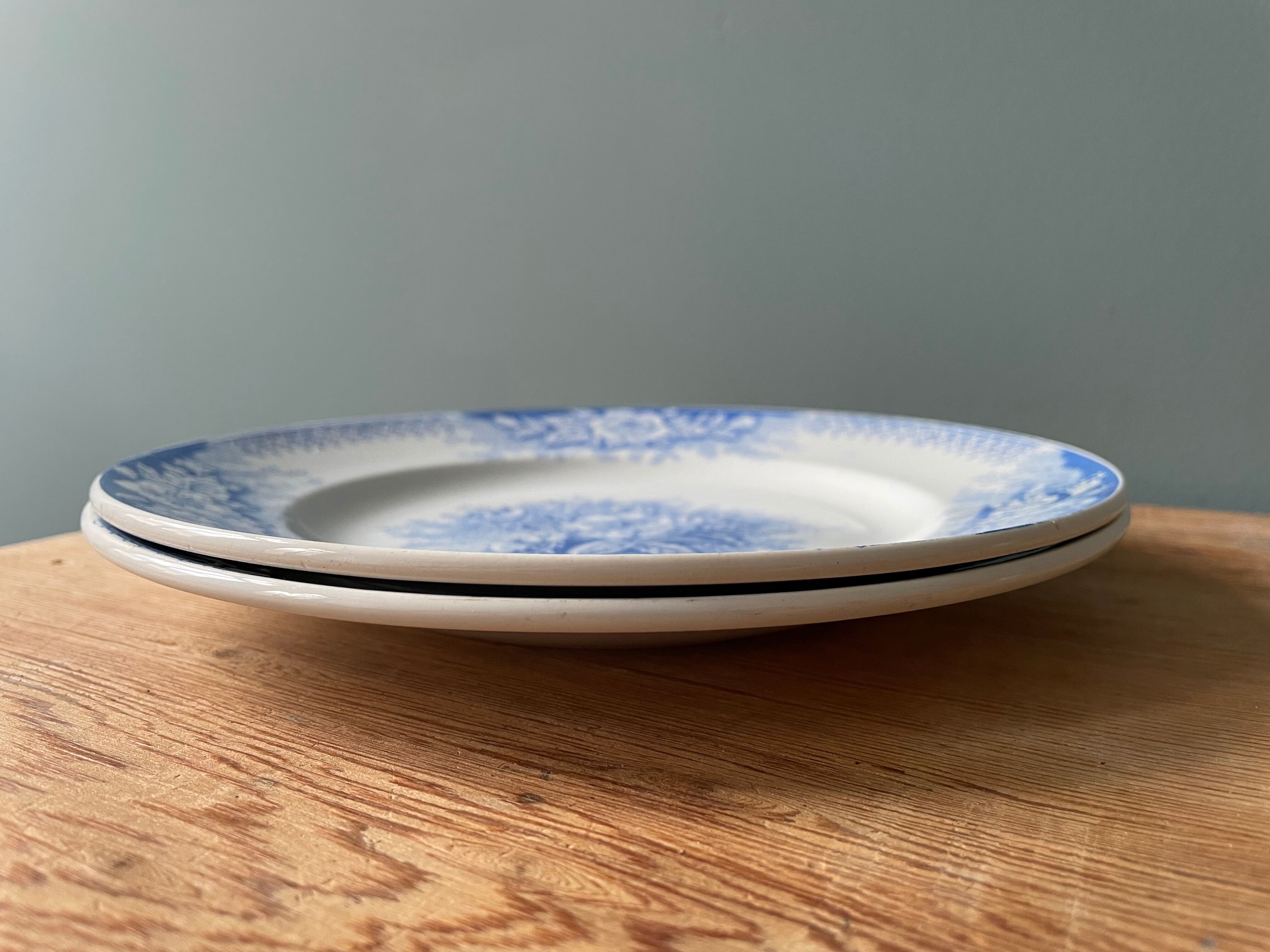 Set of 2 flat plates St Amand and Hamage, Model Planter
