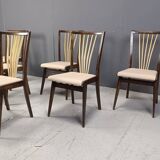 Mid century italian dining chairs, 1950s