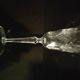 Cut Champagne flutes