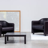 Eugenio Gerli two lounge chair from the 142 Tecno 1960 series
