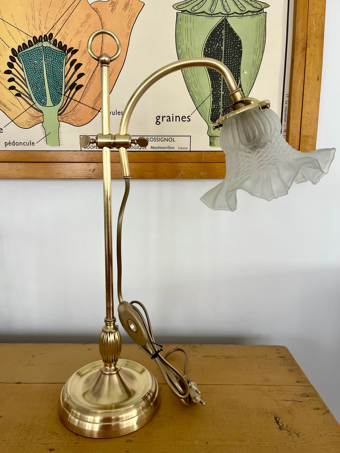 1900 adjustable swan neck lamp