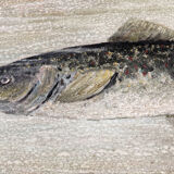 Oil on panel, trout, signed