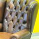 Dark Brown leather chesterfield wing chair with Ottoman