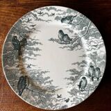Set of 6 old Sarreguemines Neige green flat plates