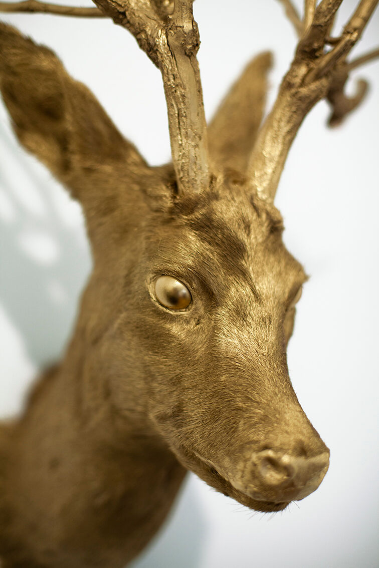 Trophy bust head chevreuil deer taxidermy gold gold