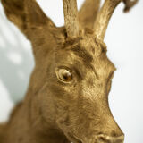 Trophy bust head chevreuil deer taxidermy gold gold