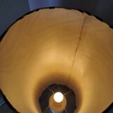 Vintage Dumler & Breiden Floor Lamp: German Pop Art Zebra Shade