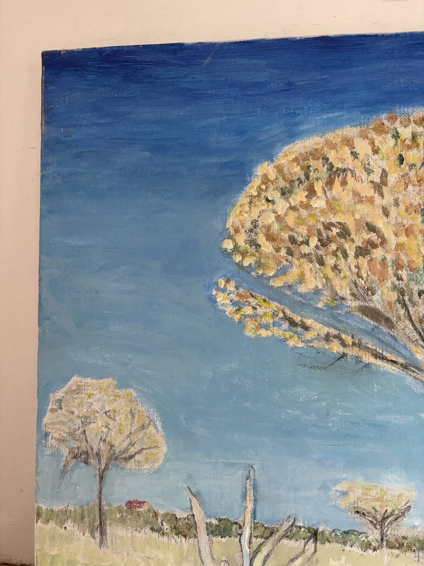 Modern Provence landscape