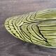 Vintage porcelain duck terrine