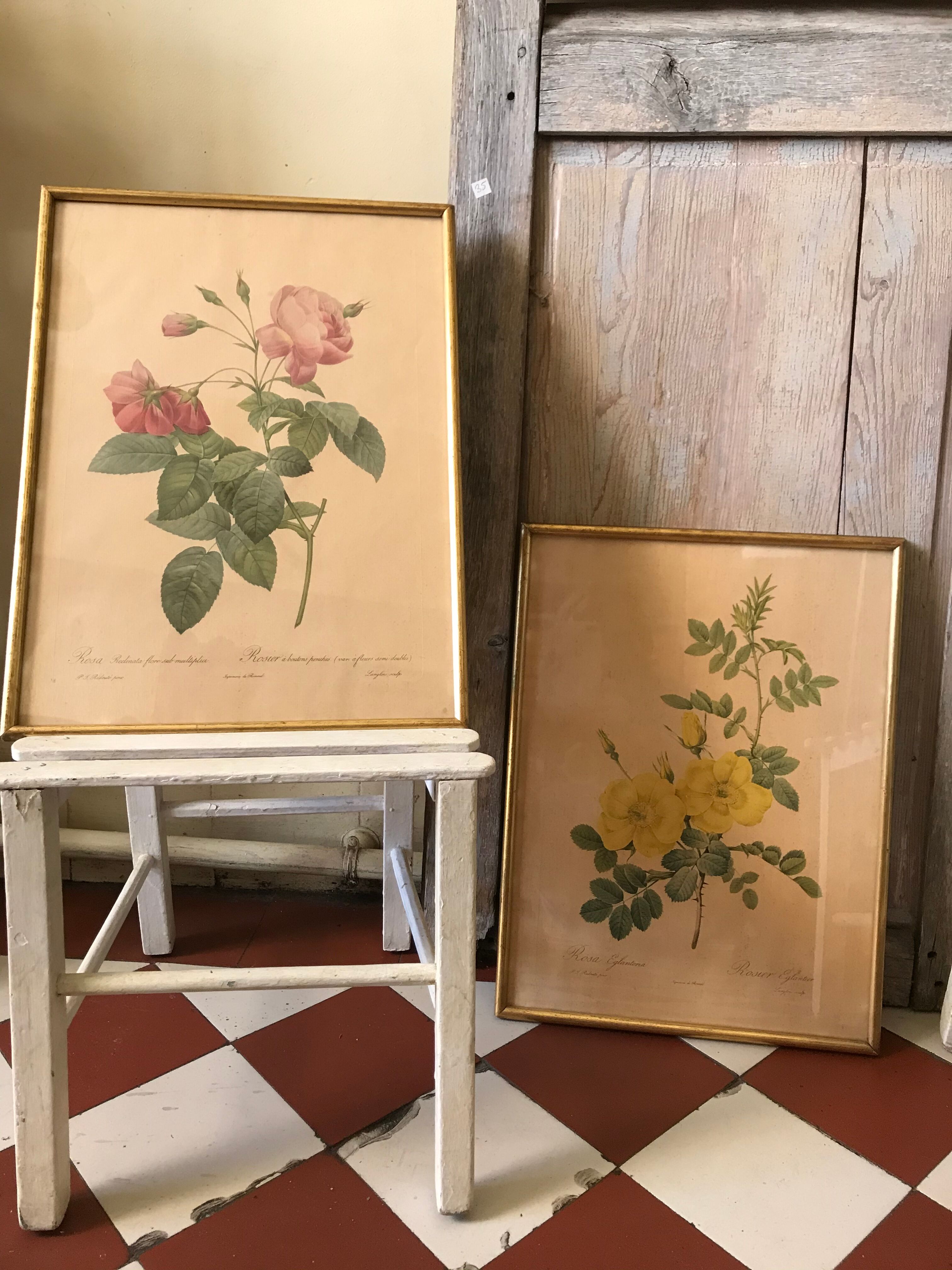 Lithographies Pierre Joseph Redouté