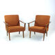 Pair Of Mid Century Modern Armchairs By Tatra Czechoslovakia, 1960s