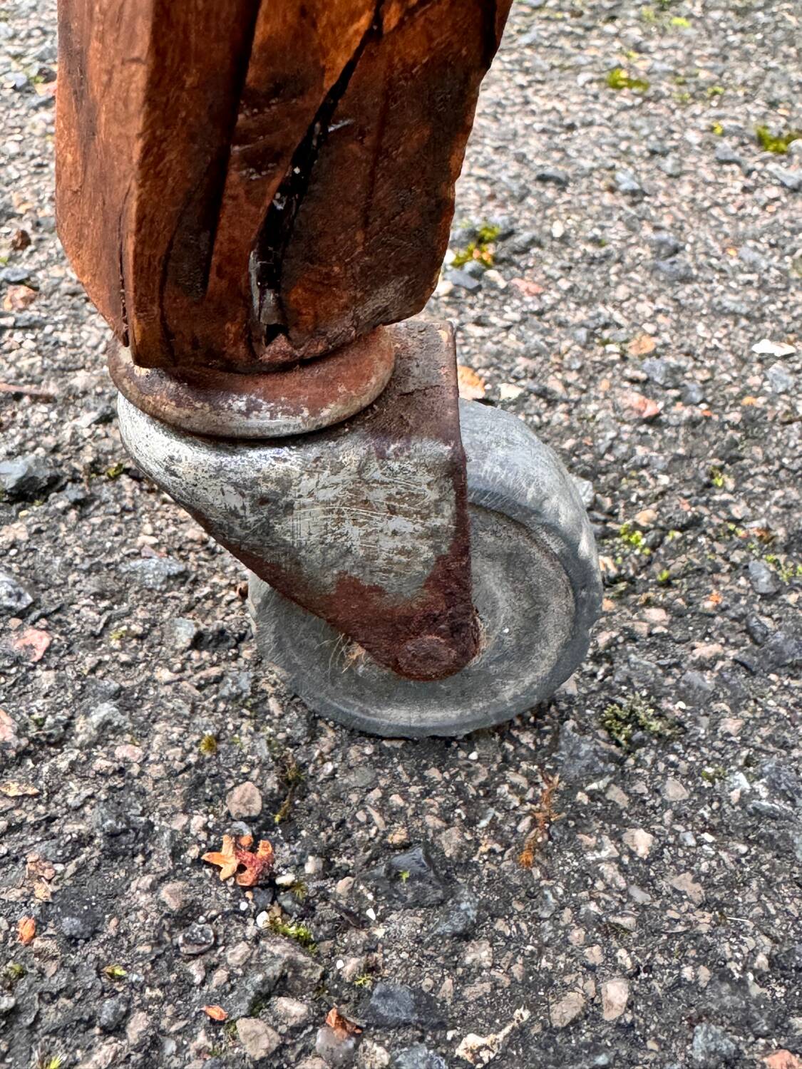 Old indoor planter on wheels