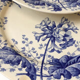 Ironstone plate Creil and Montereau primrose decoration 19th century