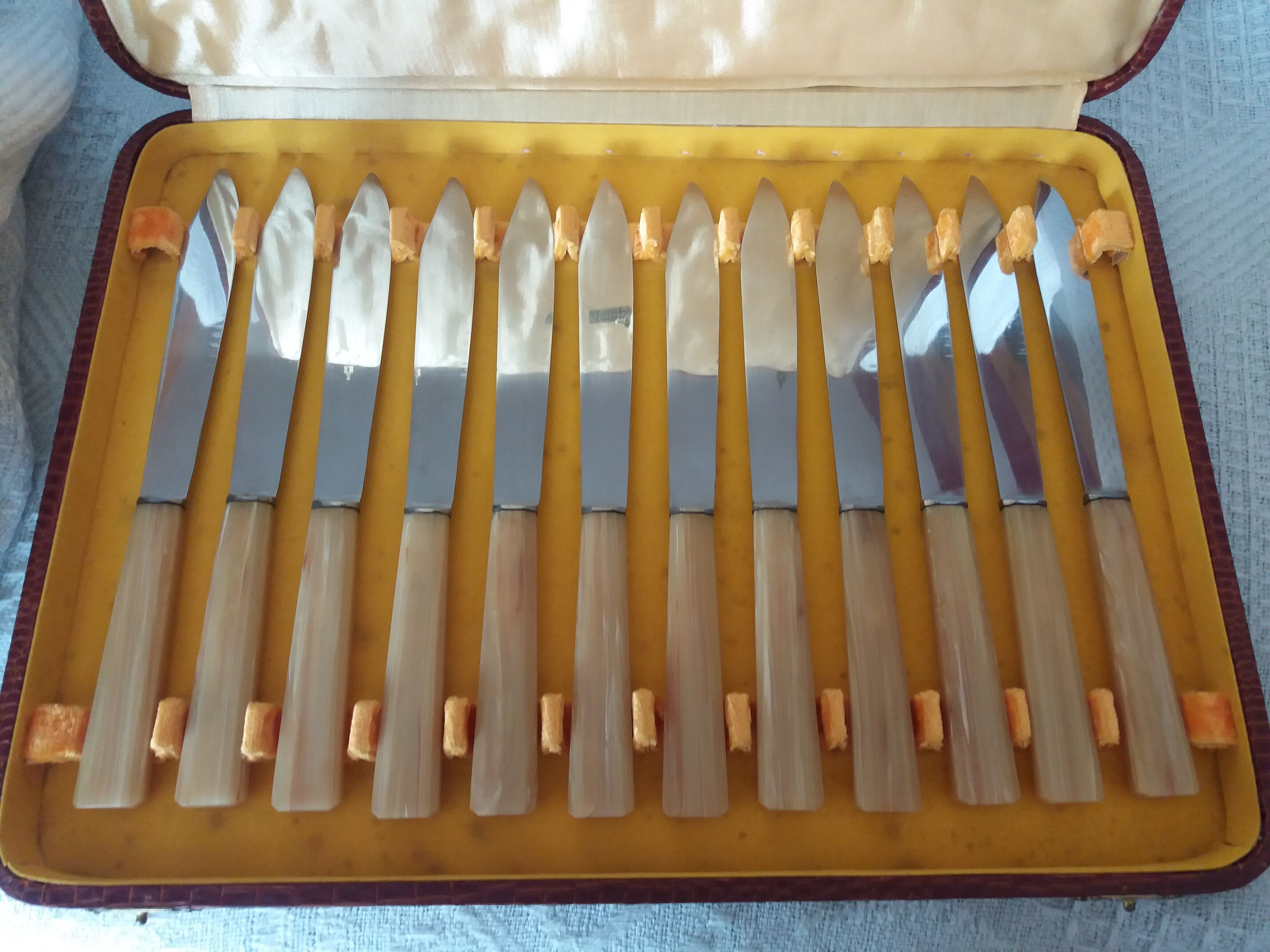 Knives in their snakeskin look box