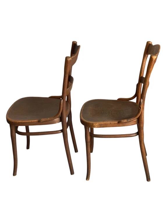 Rare set of Thonet-Mundus antique chairs, circa 1920 – elegance of Viennese Secession in bent wood.