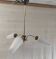 Brass chandelier with three lights and opaline tulips - 1950s/60s