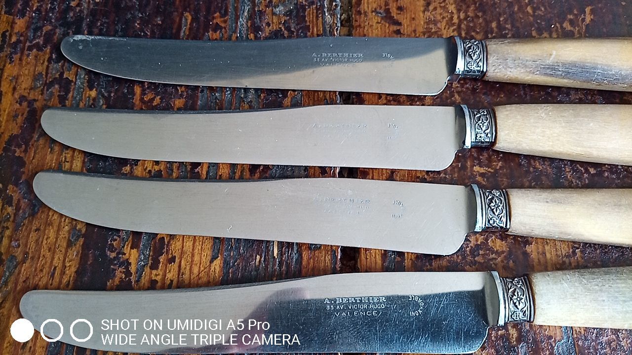 10 horn handle knives including 4 Berthier Valence - 5 logo with the crown 202