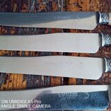 10 horn handle knives including 4 Berthier Valence - 5 logo with the crown 202