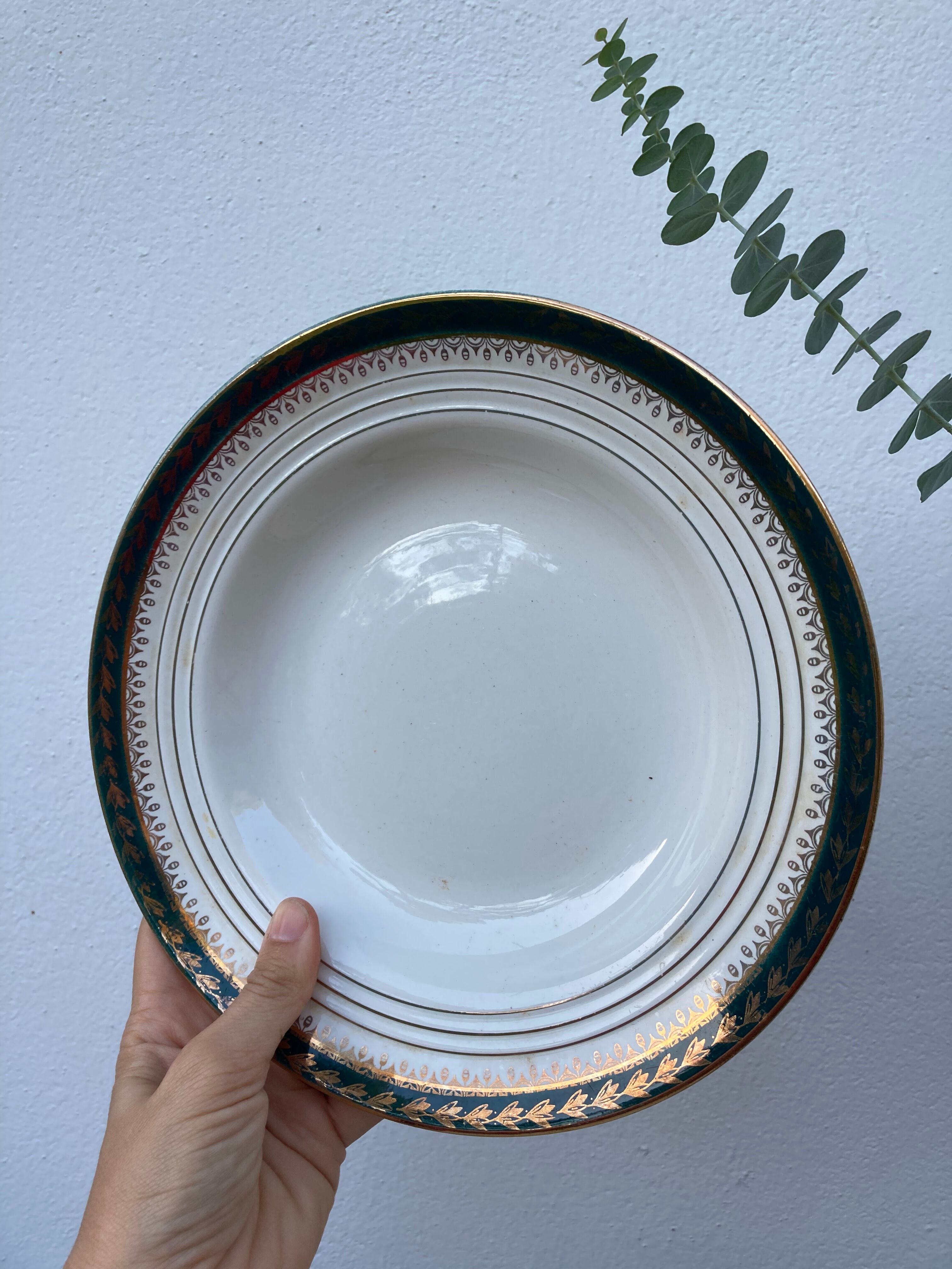 Plates for 14 people Céranord Saint Amand green and golden including hollows and plates