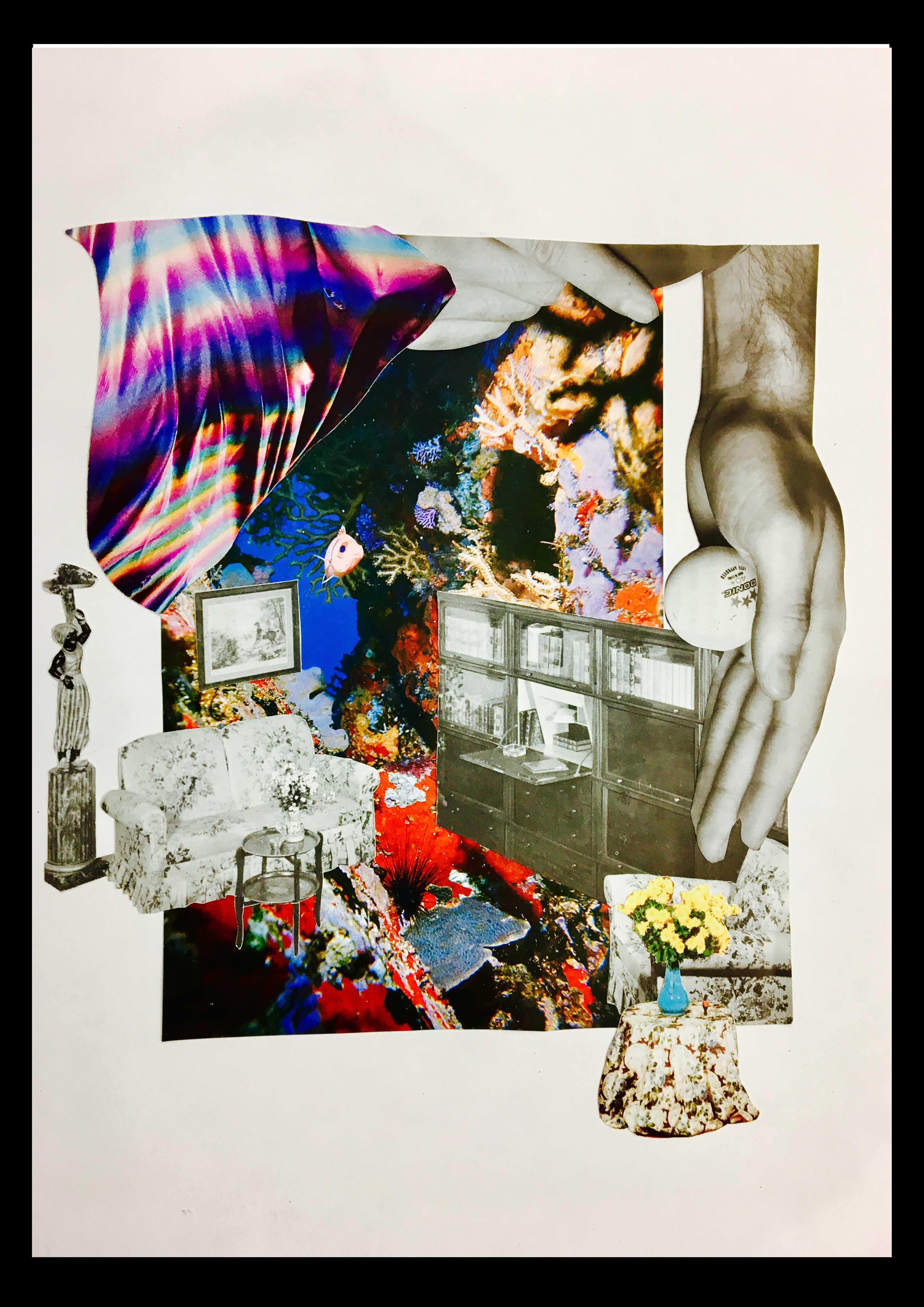 Salon aquatique, illustration