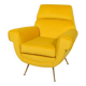 Mid-Century Armchair by Gigi Radice for Minotti, Italy, 1960s