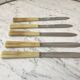 Set of 5 vintage 50s horn knives
