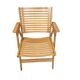 “Rex” Folding Chair design Niko Kralj for Stol Kamnik - Slovenia - 1950's