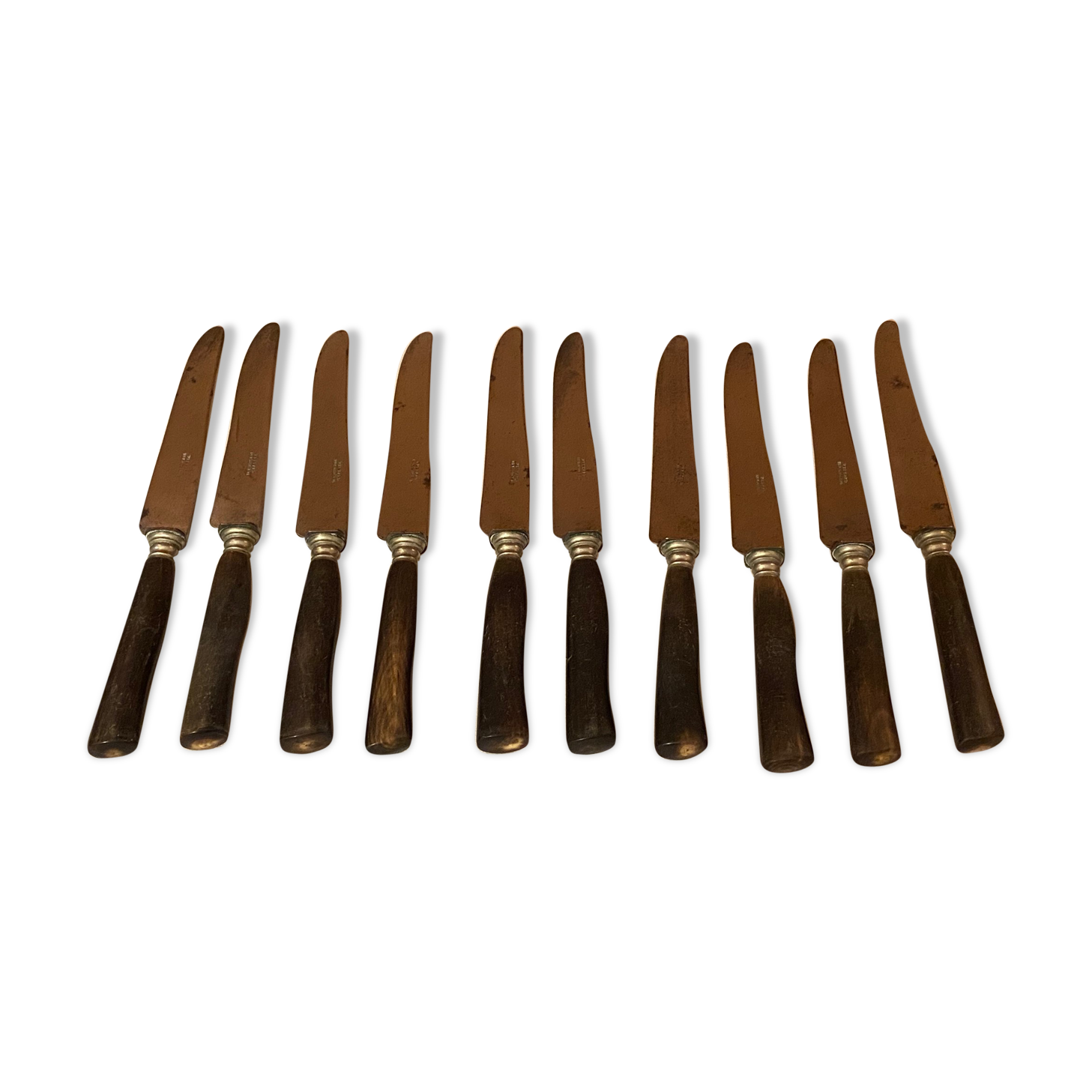Series of 10 knives, horn sleeves and steel blades