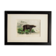 Zoological plank "hippopotamus"