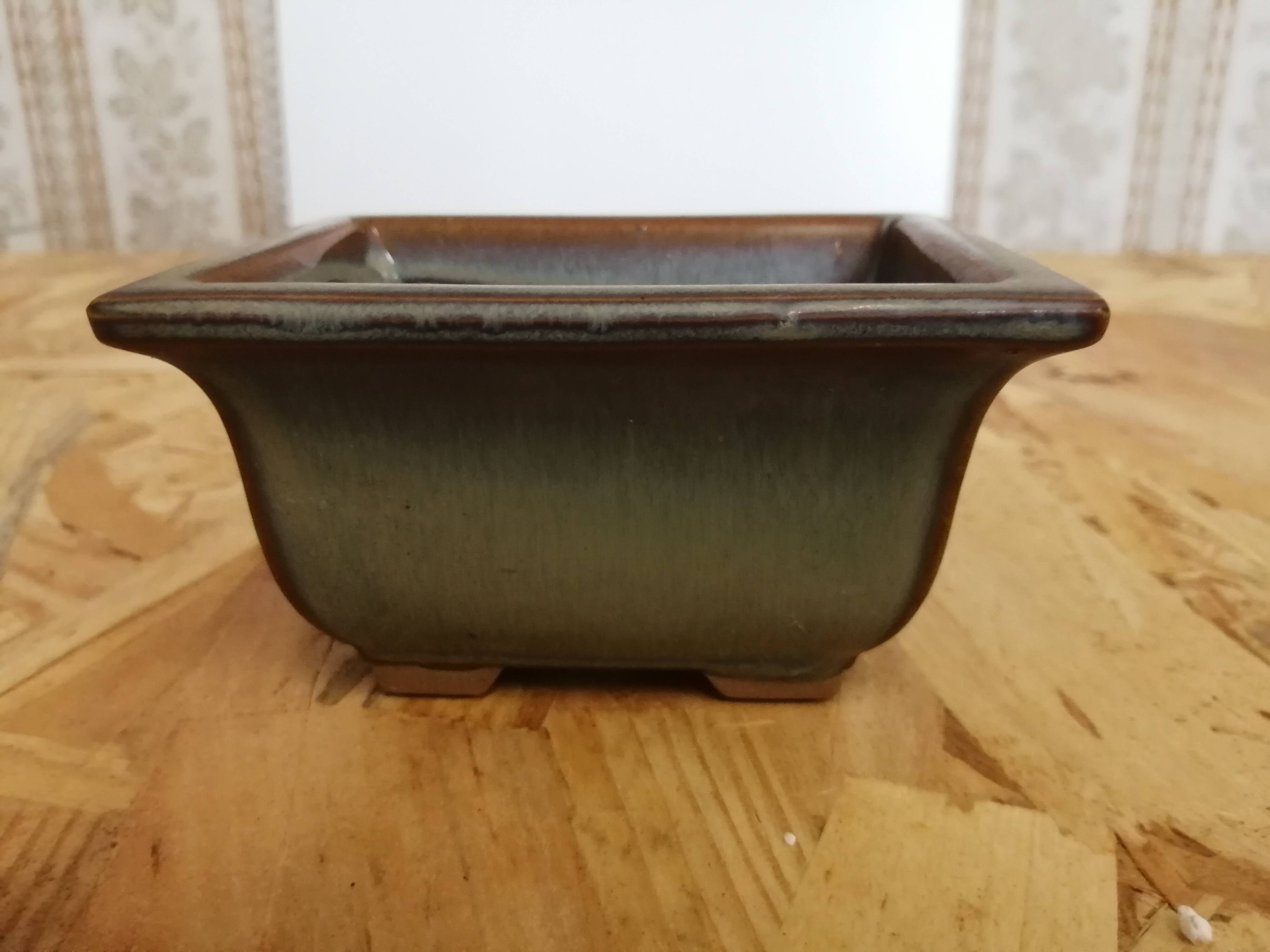 Bonsai pot