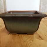 Bonsai pot