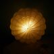 Flower-shaped press glass and glass ceiling light