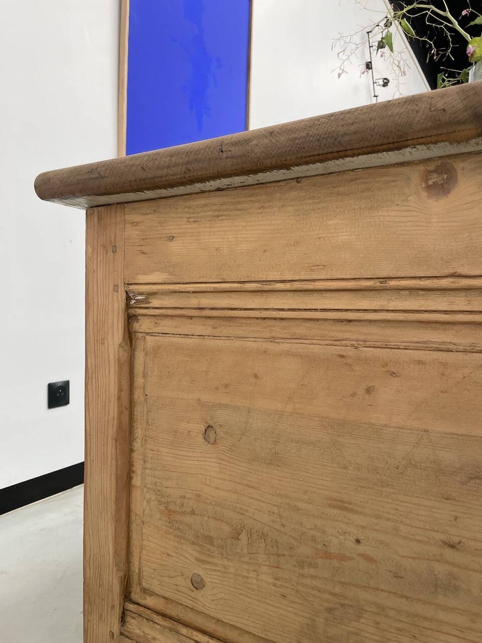 XXL oak and pine counter 350cm