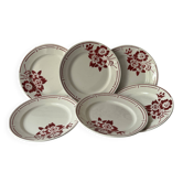 Opaque porcelain Badonviller - 6 dinner plates