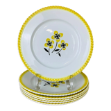 Lot de 6 assiettes plates en faïence vintage