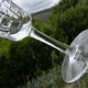 Lot de 6 verres à porto en cristal VILLEROY ET BOCH. Modèle Concorde.