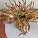 Pair of wall lamps signed moerenhout, belgium 1970s