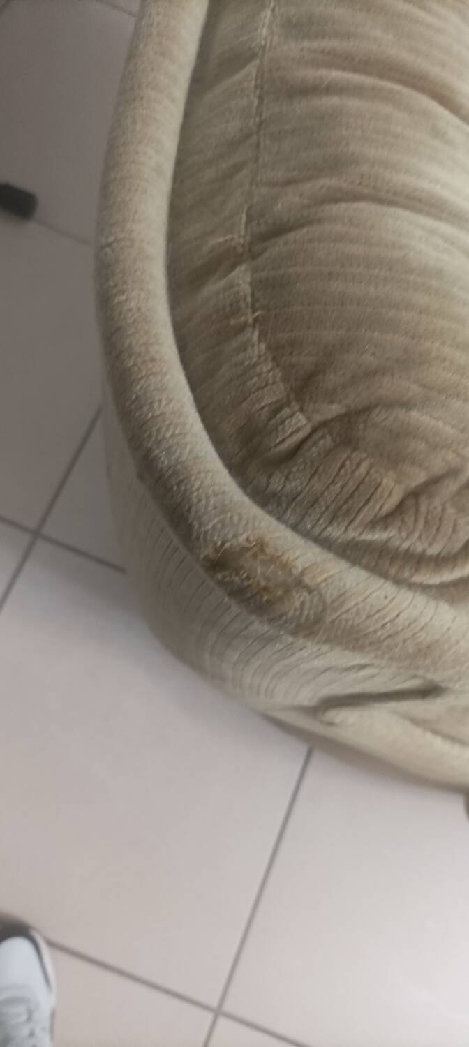 Fauteuil orchidée Michel Cadestin