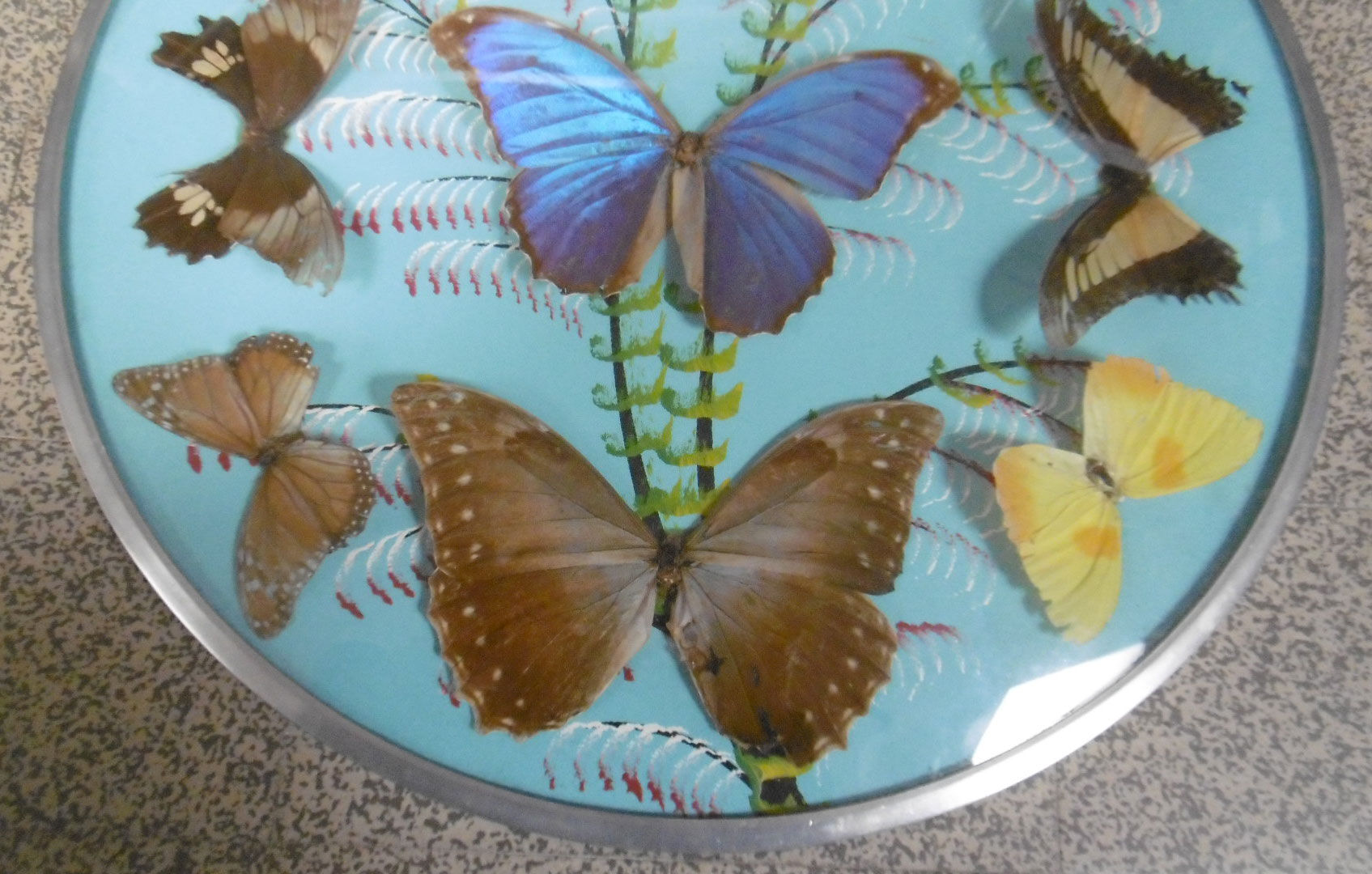 Vintage frame butterflies and silk threads - artefama - annees 50