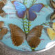 Vintage frame butterflies and silk threads - artefama - annees 50