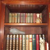 Mahogany English bookcase