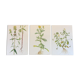 3 botanical plates