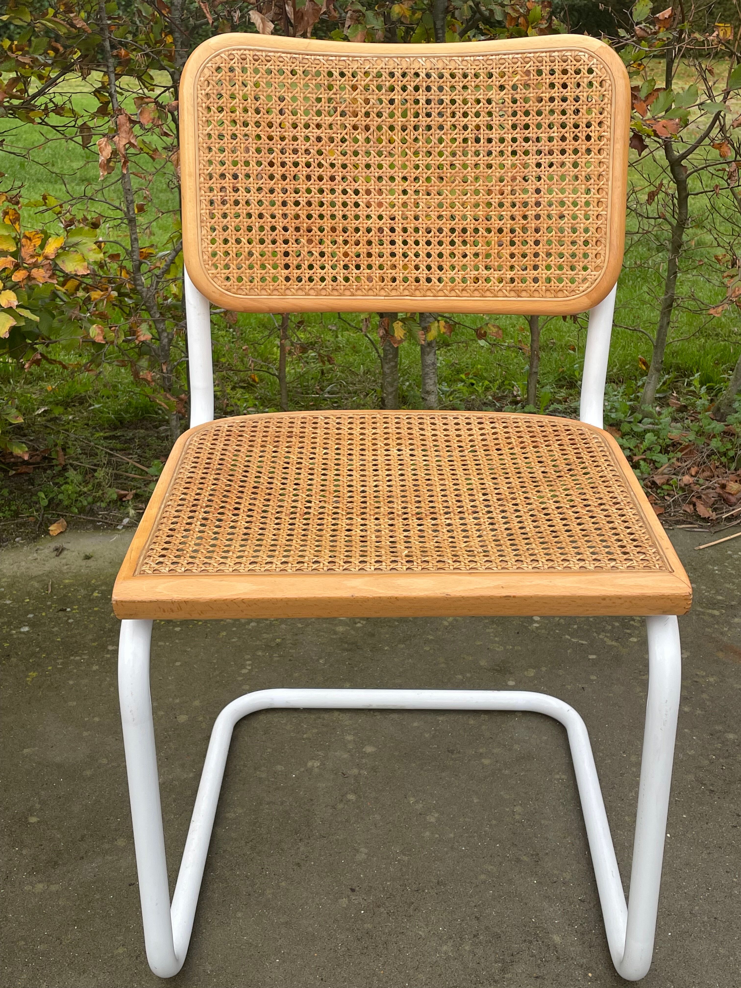 Cesca chair b32 model in white and wood by Marcel Breuer