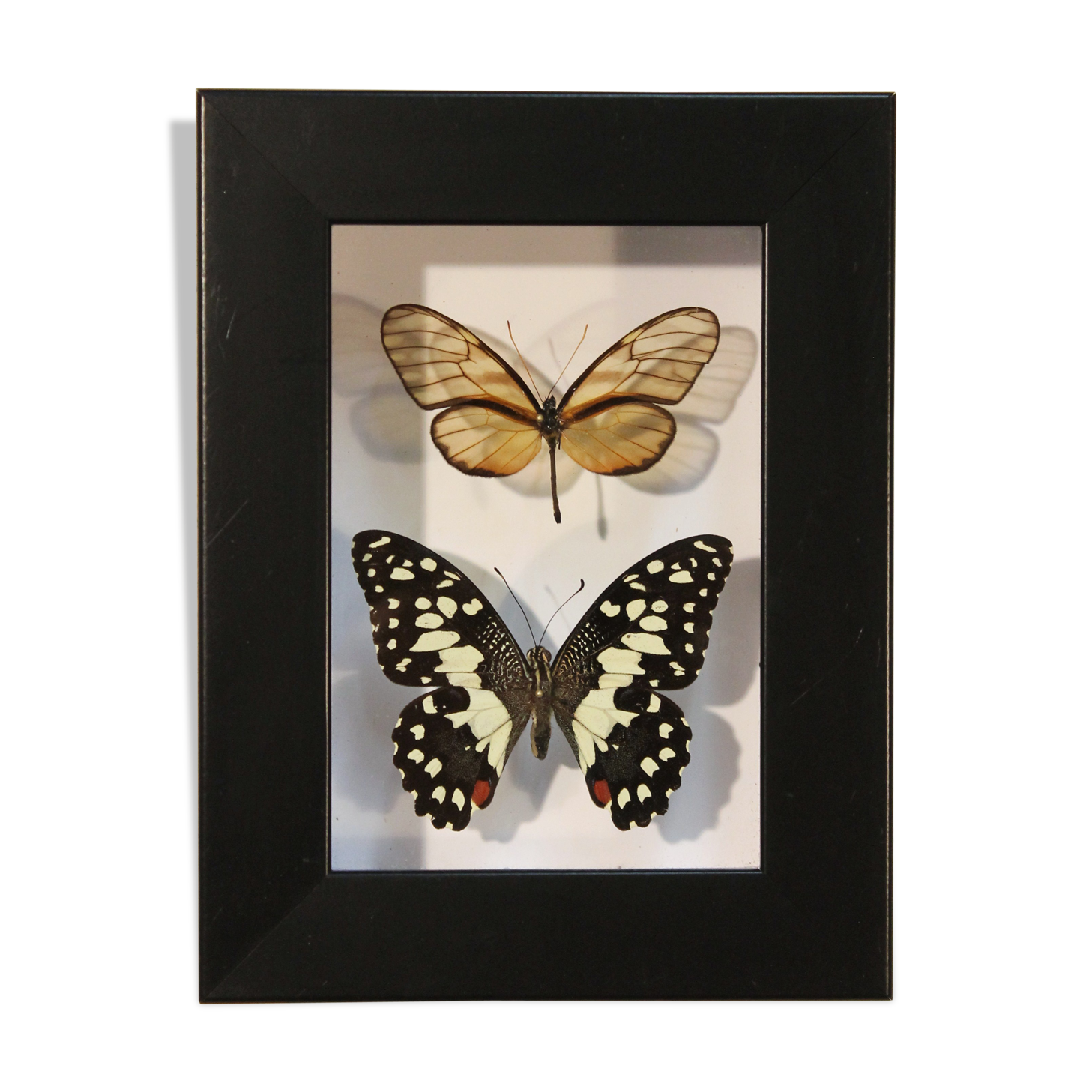 Cadre coffret 2 papillons
