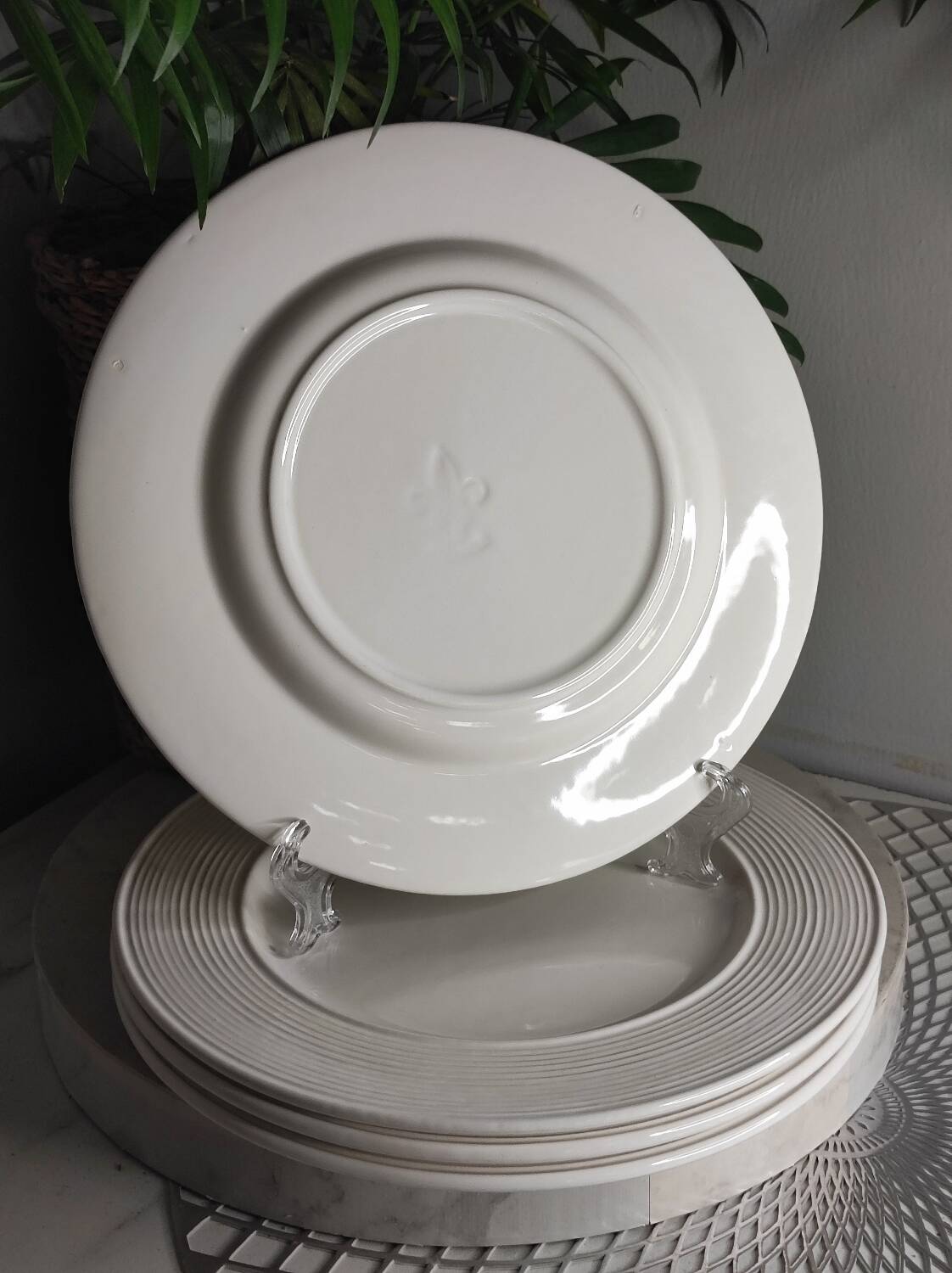 Vintage porcelain dinner plates