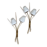 Mid-Century French Brass Sconces • Bullrush Design • Opaque Glass Shades