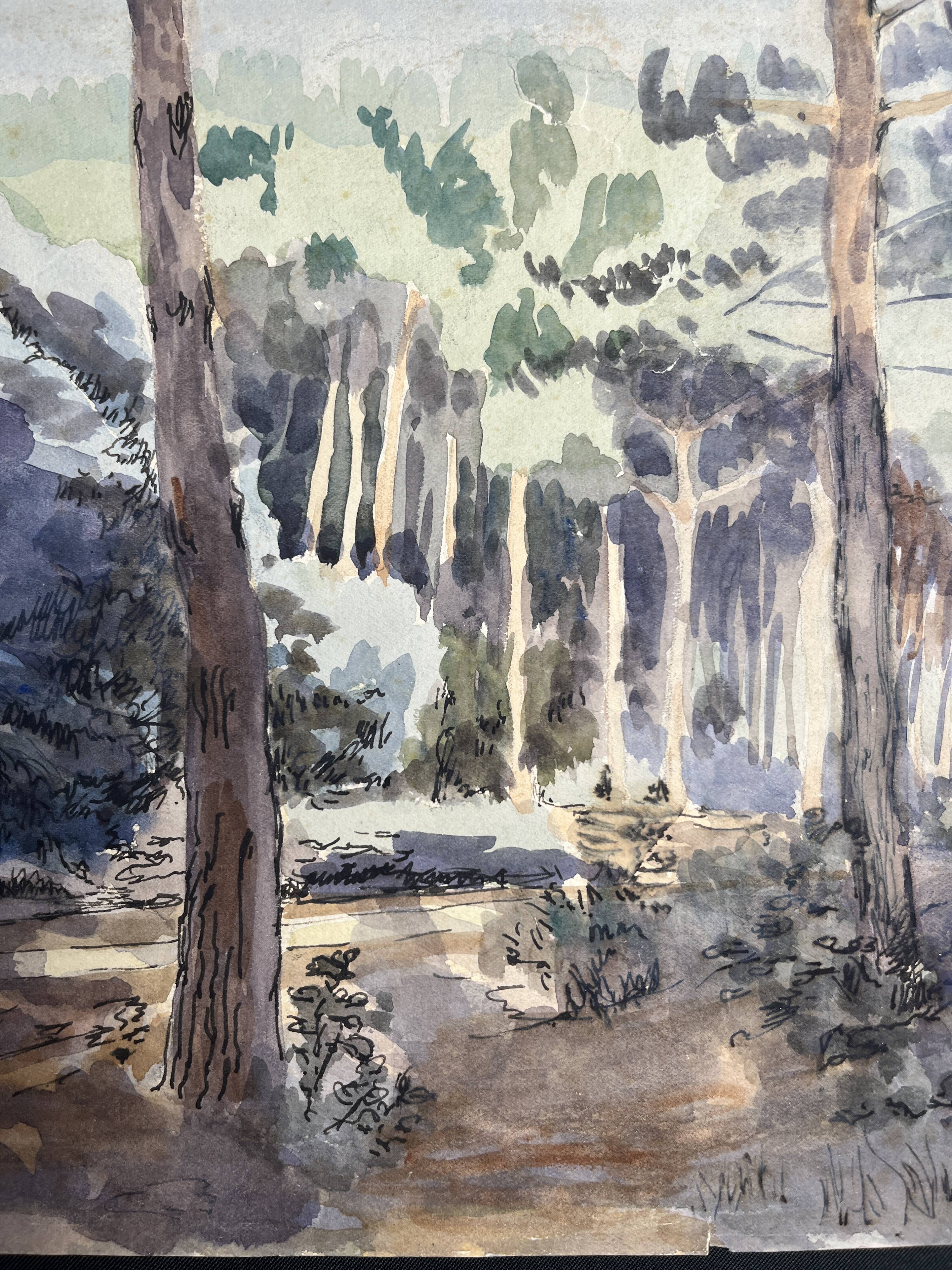 Despierre, Watercolor landscape undergrowth signed frame 20th century