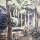 Despierre, Watercolor landscape undergrowth signed frame 20th century