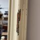 Antique mirror with beige patina