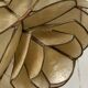 Suspension fleur Capiz « nacre », Allemagne 1960 par Rausch
